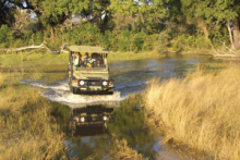 Game drive Chobe National Park