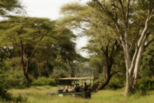 Land safari in an open 4x4 vehicle in teh Chobe National Park