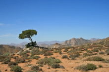 Richtersveld National Park