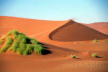 Giant sand dunes near Sossusvlei Namibia