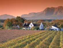 Wine valley of Paarl