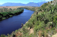 Breede River near Swellendam