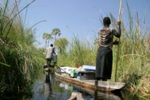 Okavango Delta in Botswana