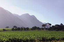 The Riebeek Valley