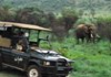 Pilanesberg National Park