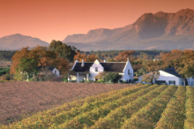 Wine Estate in Paarl